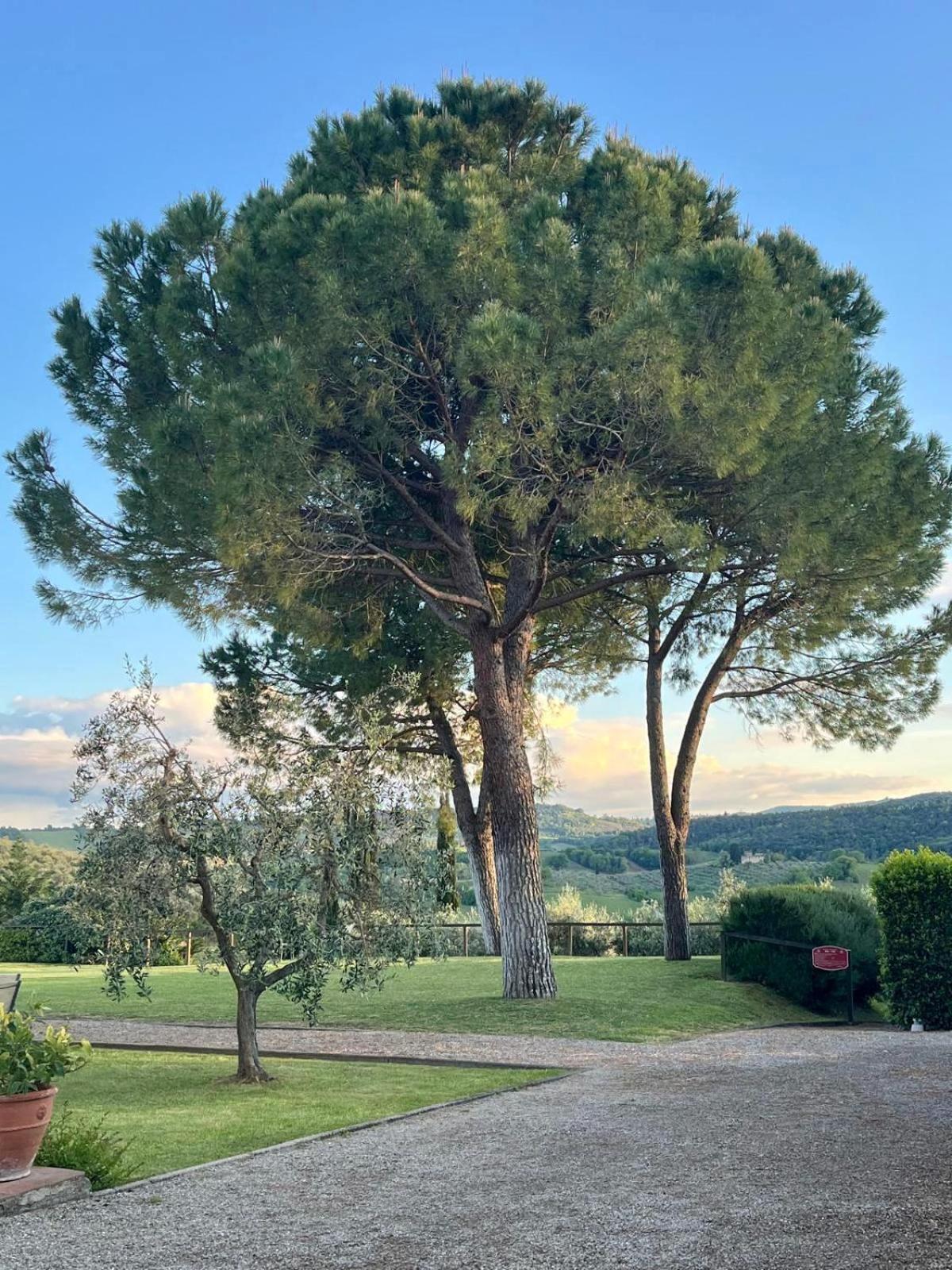فيلا Fattoria Abbazia Monte Oliveto سان جيمينيانو المظهر الخارجي الصورة
